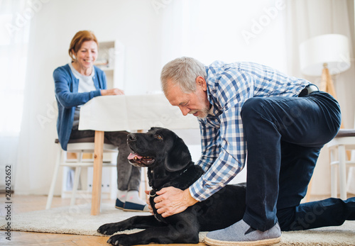 A happy senior couple indoors with a pet dog at home.