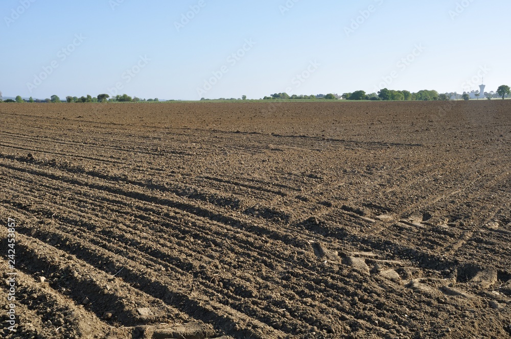 Ground after sown