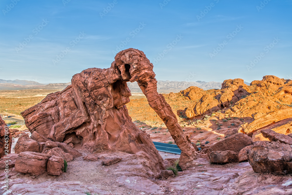 Elephant Rock in Valley of Fire State Park in Nevada