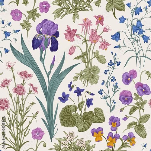 Fototapeta Naklejka Na Ścianę i Meble -  Seamless floral pattern. Garden by day. Vector vintage botanical illustration.