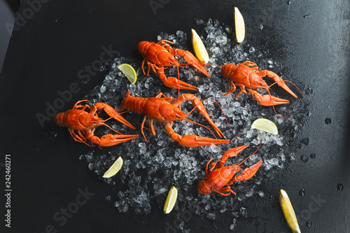 boiled crayfish on ice