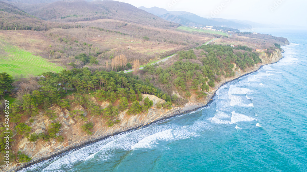 coast with trees