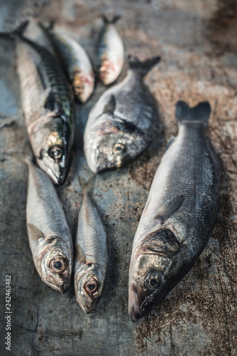 Raw fish. Sea bream, sea bass, mackerel and sardines on dark background. Lemon and herbs near the fishes.