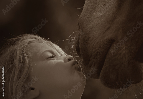 Girl kissing a horse close up
