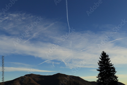 Nuvole bianche e cielo azzurro con scia aereo e pino