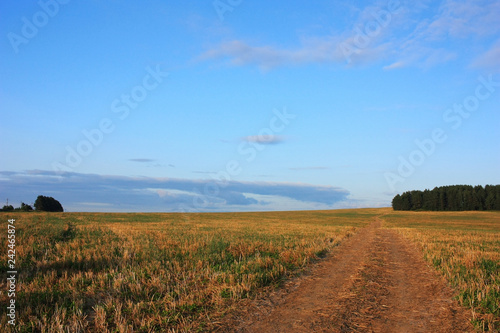 Dirt country road in the field in the evening