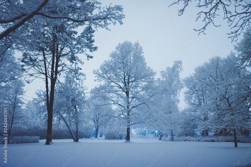 Fototapeta premium Winter snow fall in Helsinki