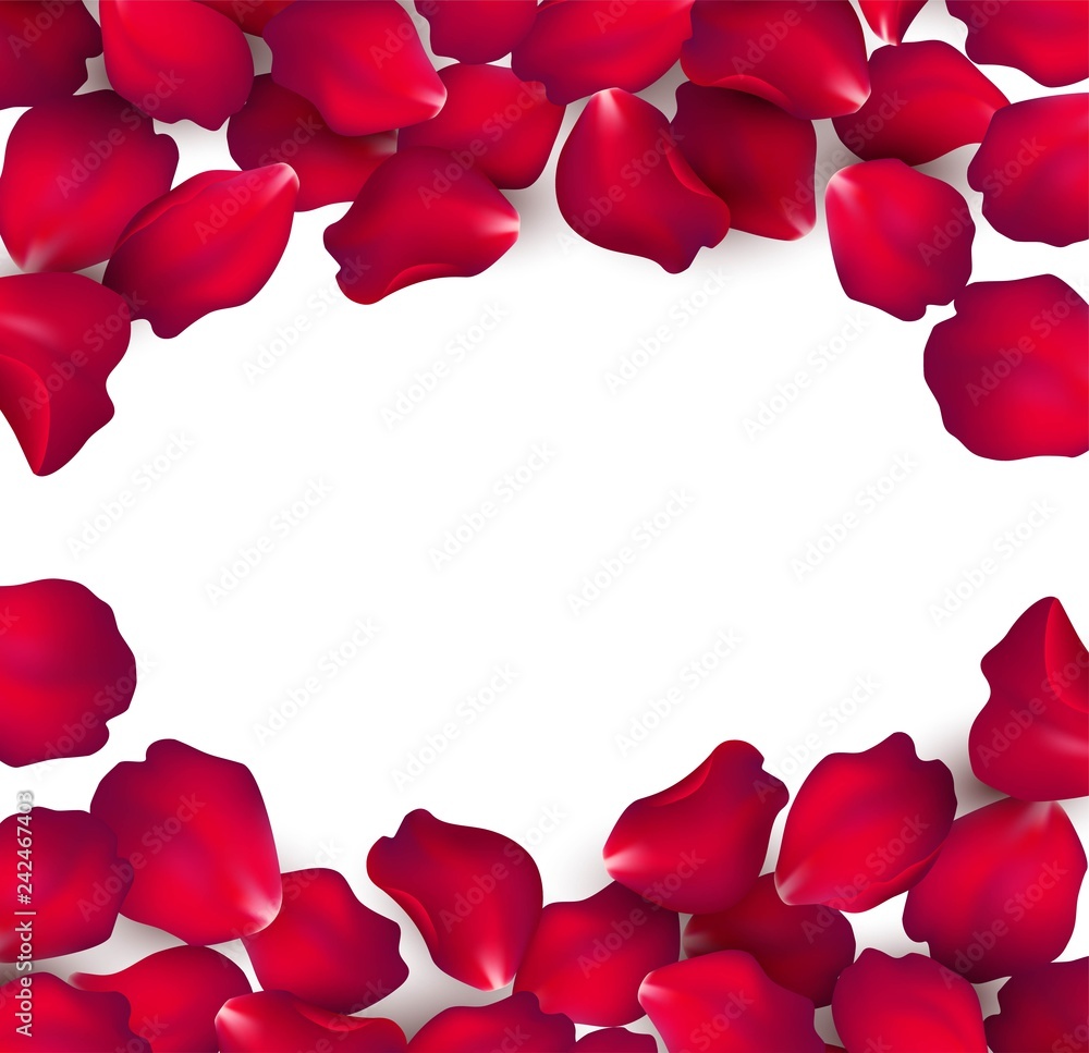 Falling red rose petals isolated on white background. Vector illustration Falling red rose petals isolated on white background. Vector illustration