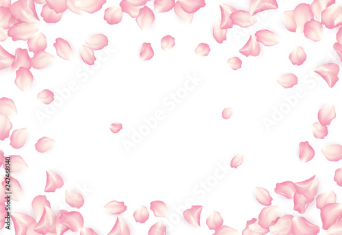 Fototapeta Naklejka Na Ścianę i Meble -  Falling red rose petals isolated on white background. Vector illustration