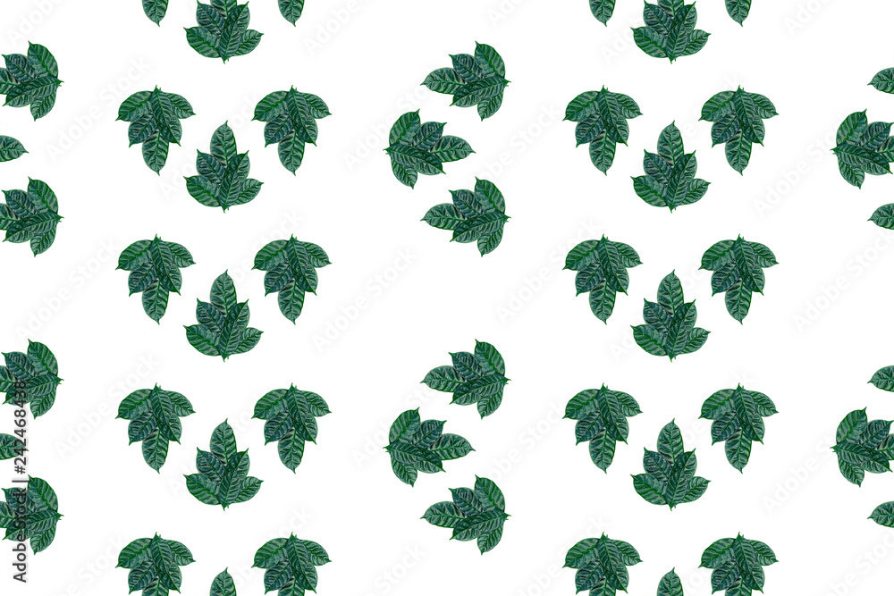 seamless green leaves pattern on white isolated background Top view flat lay ornament seamless green leaves pattern on white isolated background Top view flat lay ornament