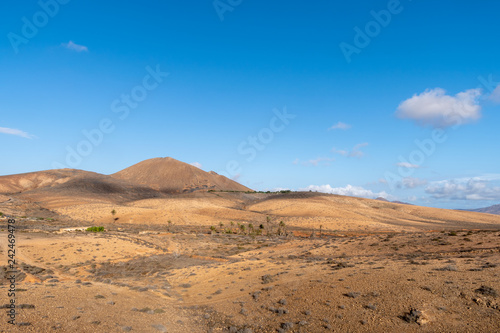 Fuerteventura volcanic mountains  Canary