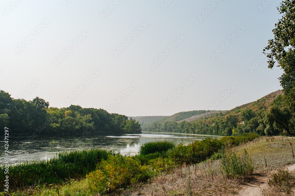 Obraz premium Safety life. Sunny day a calm river in summer. Beauty wild nature landscape. Ecology concept. Environmental protection. Water without pollution. Reserve of nature. Wild planet