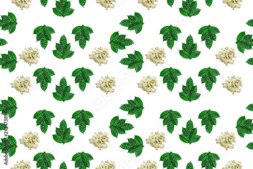 seamless green leaves and flowers pattern on white isolated background Top view flat lay ornament