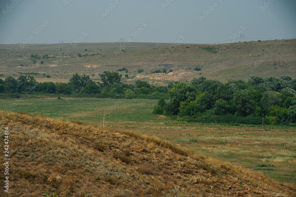 The steppe is woodless. Ravine in the steppe. Veld Ukraine. Forest of the steppe landscape. Forest formation. Poor in moisture. Grass vegetation in the dry climate zone.