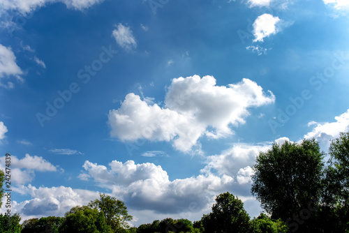 Fluffy white clouds on background of blue sky over trees. © Sergei