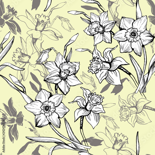 Botanical seamless pattern with hand drawn flowers daffodils  narcissus on light yellow