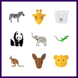 9 zoo icon. Vector illustration zoo set. elephant and lizard icons for zoo works