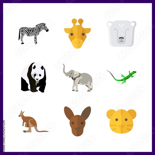 9 zoo icon. Vector illustration zoo set. elephant and lizard icons for zoo works