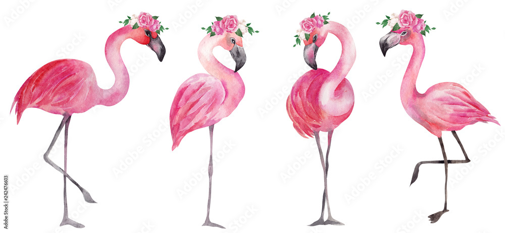 Fototapeta premium Watercolor illustration with pink flamingo and flowers