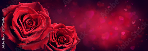Couple Of Red Roses In Heart Shape With Red Passion Background  