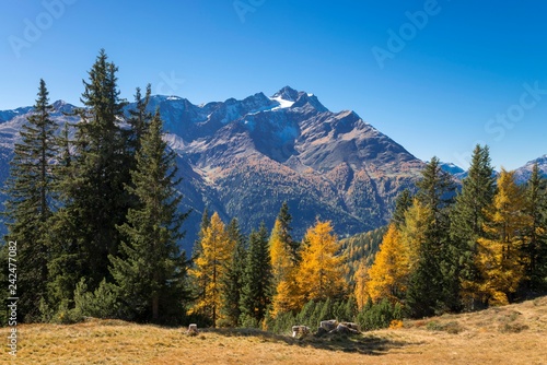 Autumnal mountain landscape, behind Hoher Riffler, Dawin-Alpe, Strengen am Arlberg, Tyrol, Austria, Europe photo