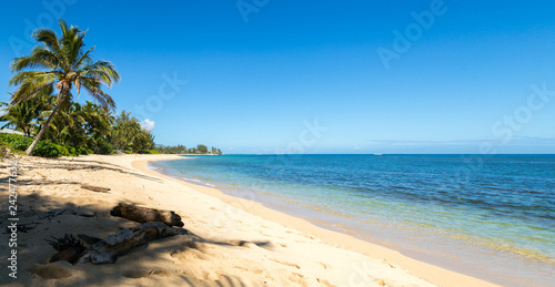 Tropical beach and ocean. Sunny weather. Some white clouds in the blue sky. Empty space on the right side of the frame. Stones, palm trees, summer, journey. Sand, good mood. Panorama 1