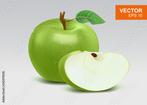 High realistic real-life green apples vector illustration, icon