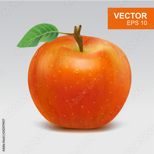 Realistic red apples vector illustration, icon. 3d whole apple
