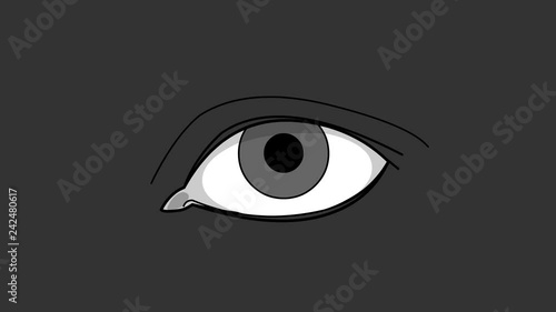 Human eye, people eyes blinking looping animation