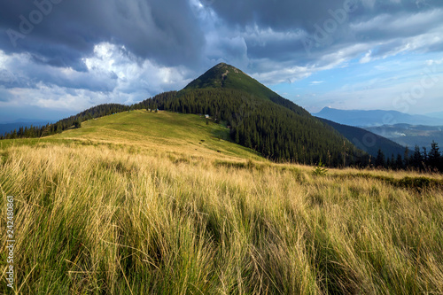 Panoramic view of green grassy valley, pine trees and rural small peasant huts at foot of distant woody mountain under dark blue cloudy sky before thunderstorm. Beauty of nature, tourism, traveling. photo