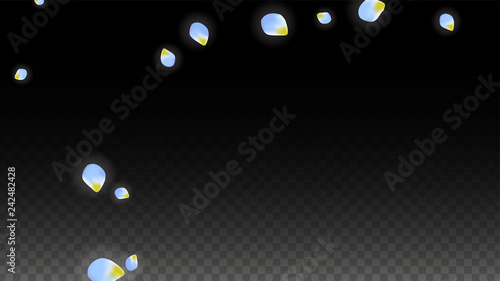 Vector Realistic Blue Petals Falling on Transparent Background.  Spring Romantic Flowers Illustration. Flying Petals. Sakura Spa Design. Blossom Confetti.