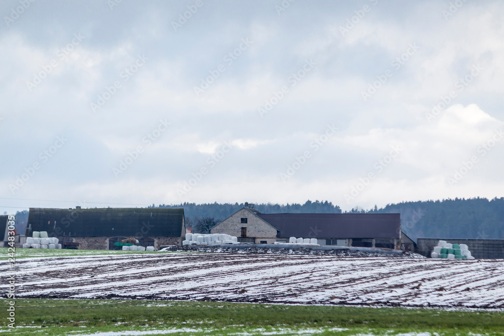 A bit of snow on arable land. Dairy barns. White and blue rolls of hay and silage near barns. The beginning of winter in Europe.