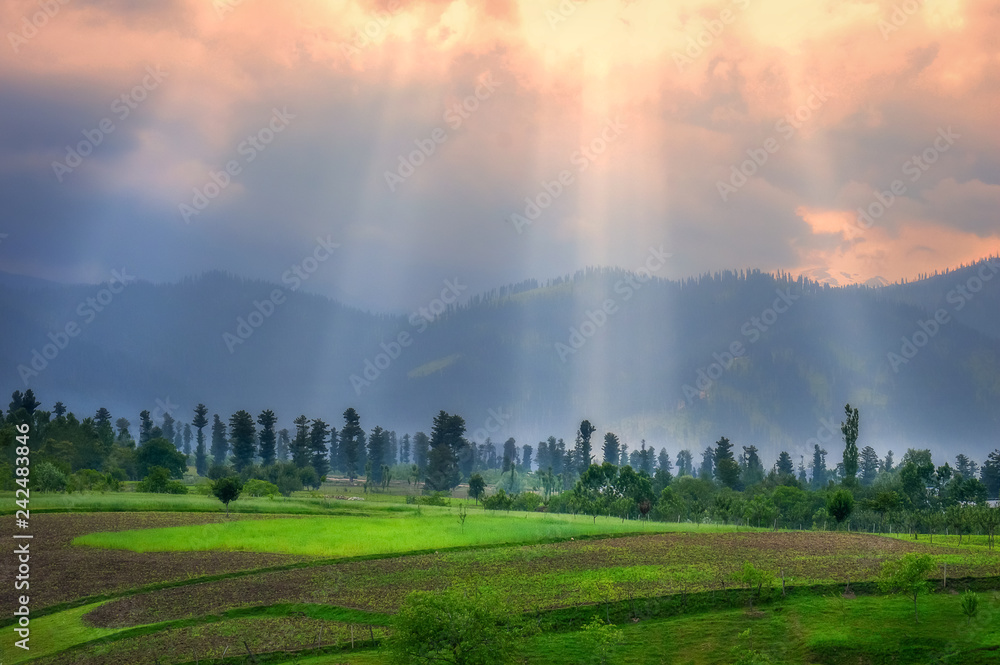 Beams of light passing through clouds at the time of sunset and hitting lush green landscape