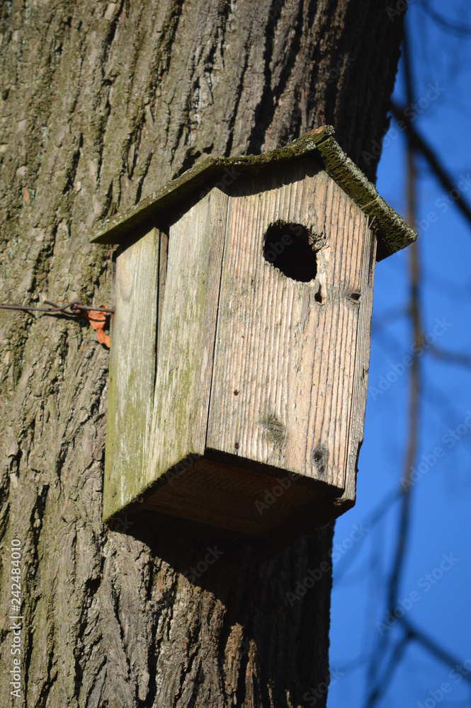 Bird Box Bird Box