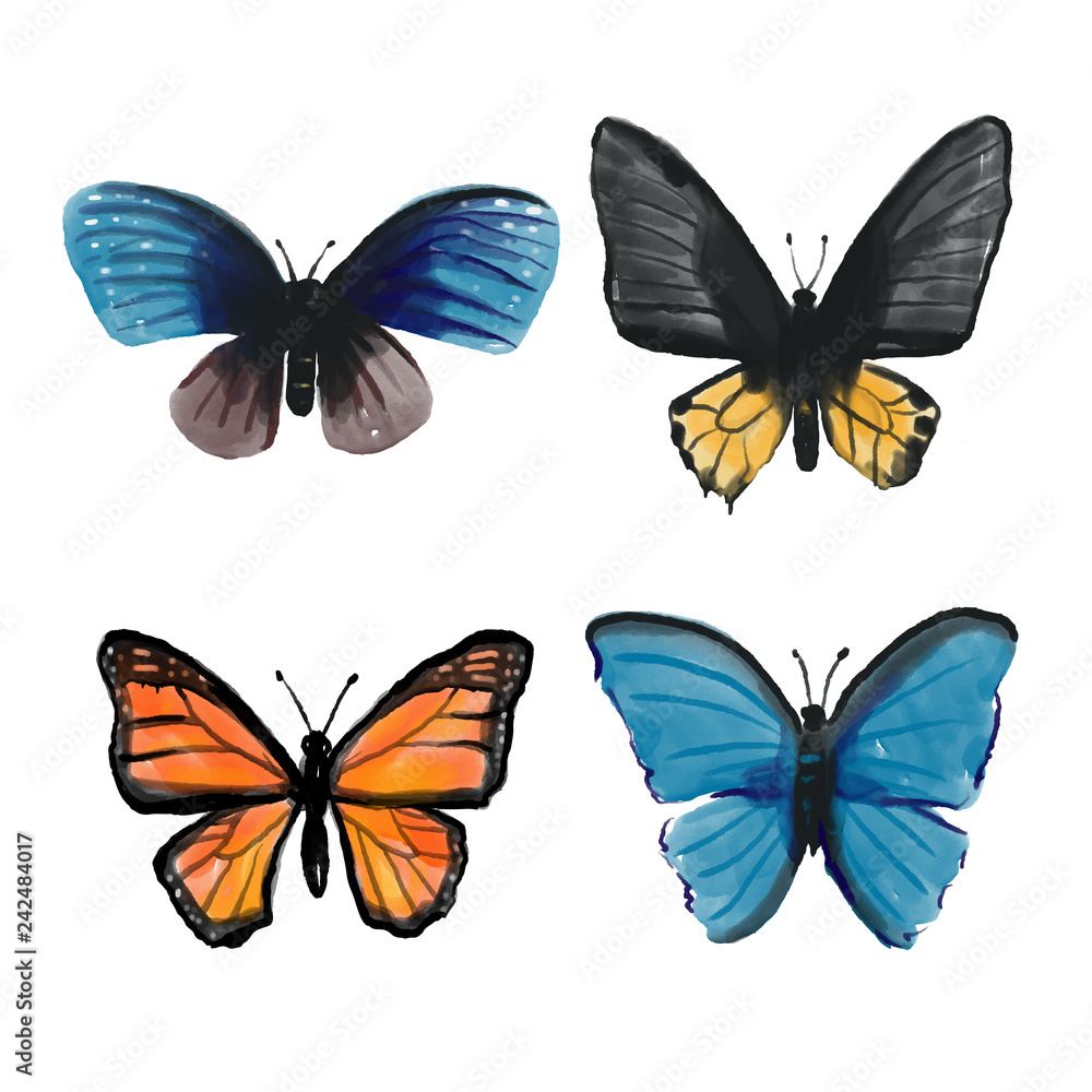 Obraz premium butterfly collection vector design