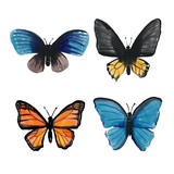butterfly collection vector design