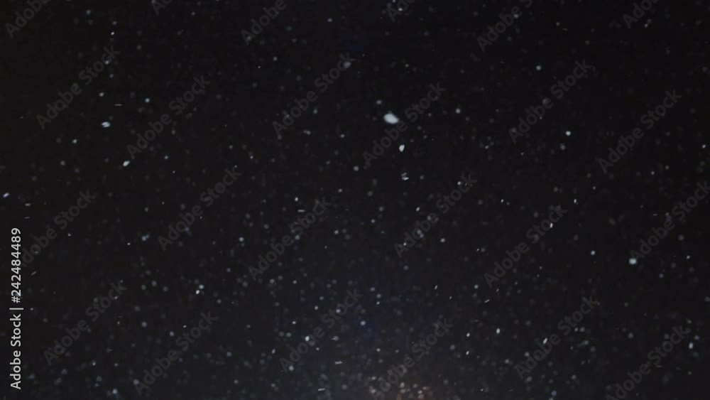 Soft focus background or b-roll texture pattern of snow falling in night sky. Big white fluffy snowflakes glide down in freezing winter air. Christmas cold season mood, atmosphere of holidays Soft focus background or b-roll texture pattern of snow falling in night sky. Big white fluffy snowflakes glide down in freezing winter air. Christmas cold season mood, atmosphere of holidays