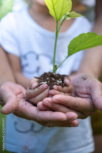 Close up Asian girl and mother's hands holding small plant prepare for plantation.