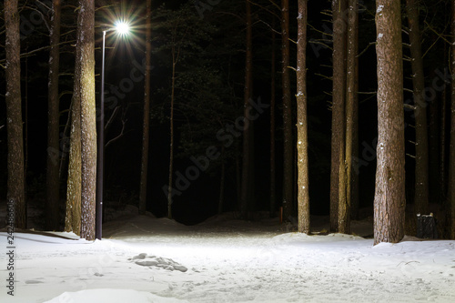 Night severe Northern winter and snowy weather. Evening pine forest, pinewood. Narva-Joesuu resort town in Estonia in Ida-Virumaa. Winter night on snowy shore of Narva Bay. Snow on the ground