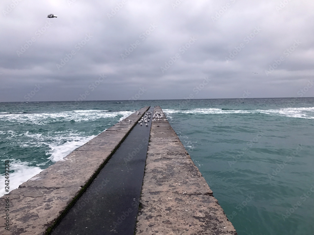 The gulls are hiding on a rocky tidal wave from the strong winter sea wind. The gulls are hiding on a rocky tidal wave from the strong winter sea wind.