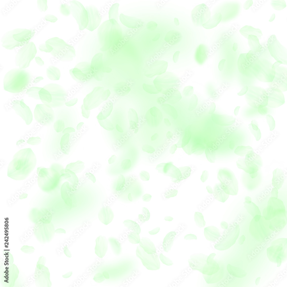 Green flower petals falling down. Captivating roma Green flower petals falling down. Captivating roma