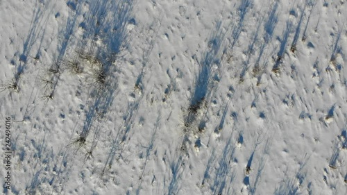 Land overgrown with shrubs and weeds, rural area. Snow-covered steppe. Aerial view with smooth fly up photo