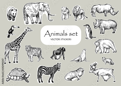Vector pen style drawing. Different animals. Stickers design set.