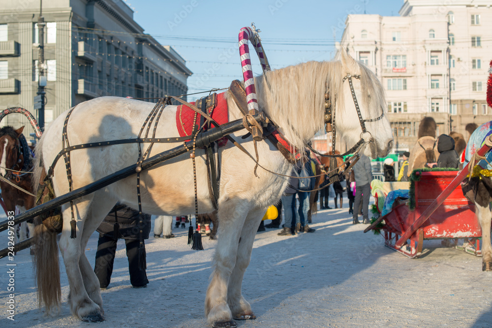 челябинск