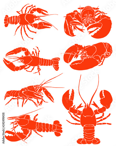 Graphical set of red lobsters isolated on white,vector sea-food illustration