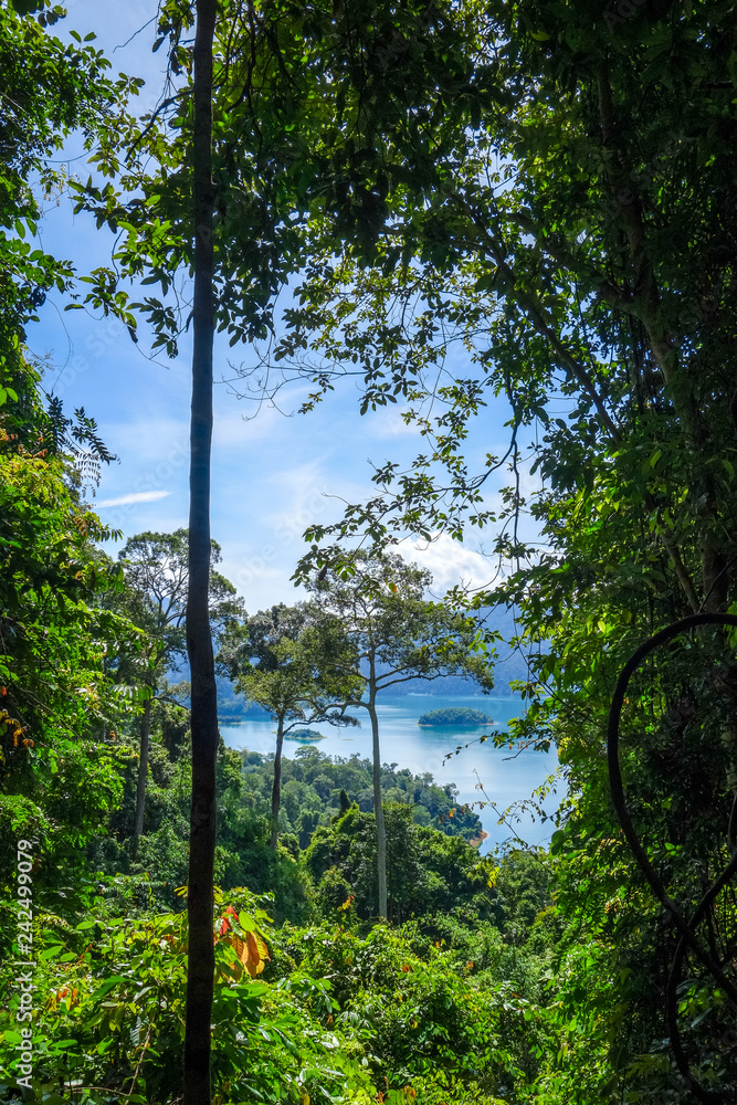 Fototapeta premium Cheow Lan Lake jungle landscape, Khao Sok, Thailand