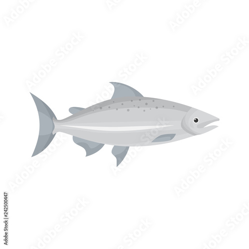 Fish illustration. Salmon, trout, fishing. Food concept. Can be used for topics like fish market, sea food, restaurant menu