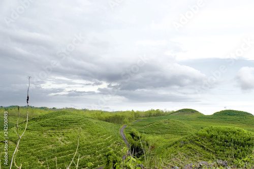 Landscape Gunung bagus, Wonosari, Yogyakarta, Indonesia photo