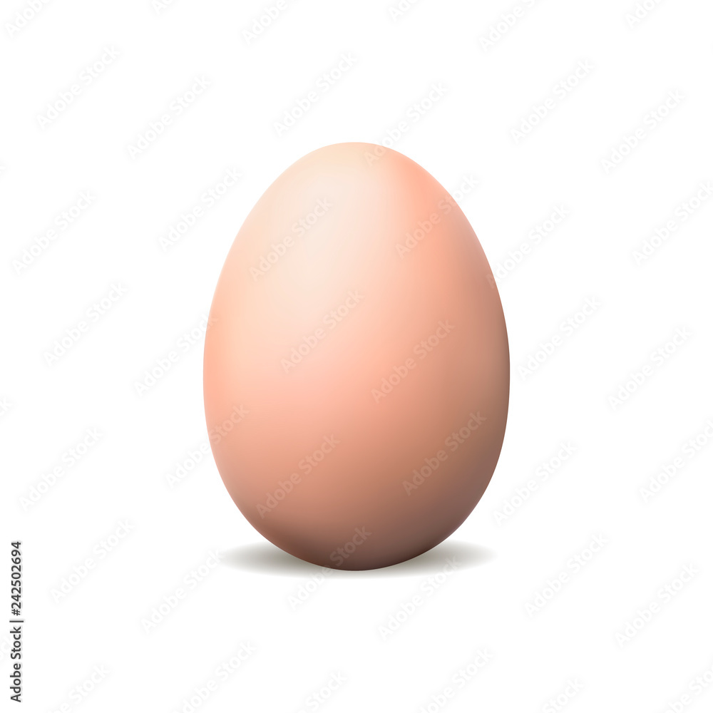 Egg mockup isolated on white background - front view. Vector illustration Egg mockup isolated on white background - front view. Vector illustration