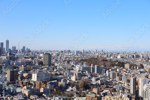 東京都文京区のシビックセンターからの眺め